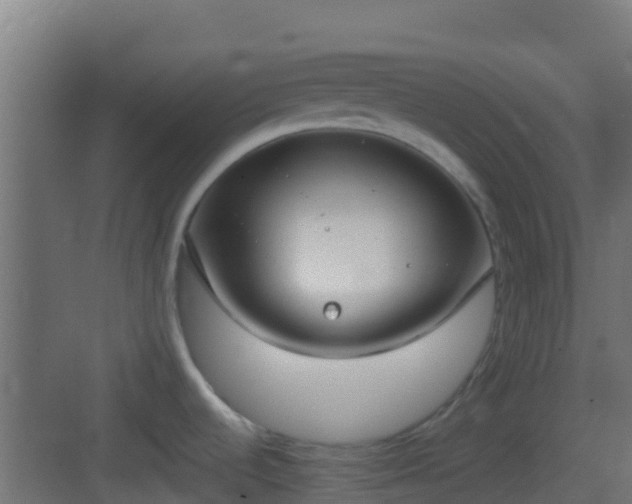 X0000083011536200702091237