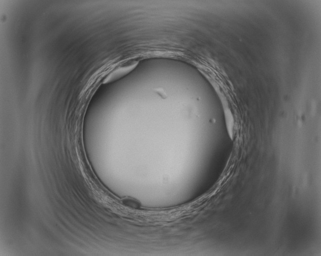 X0000083010001200702161603