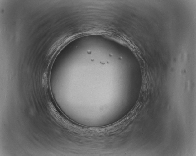 X0000083010002200702161603