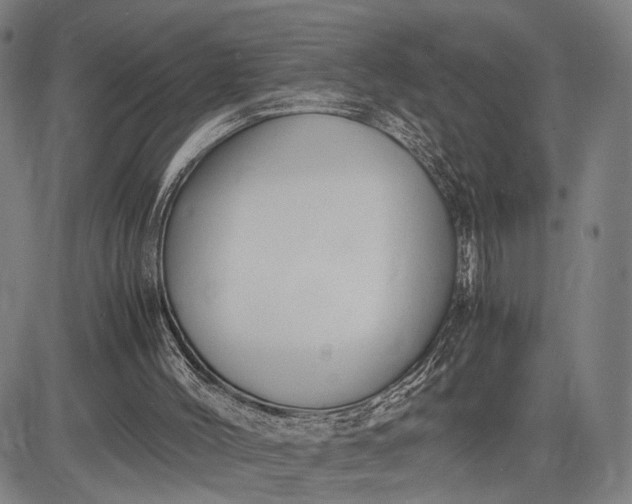 X0000083010004200702161603