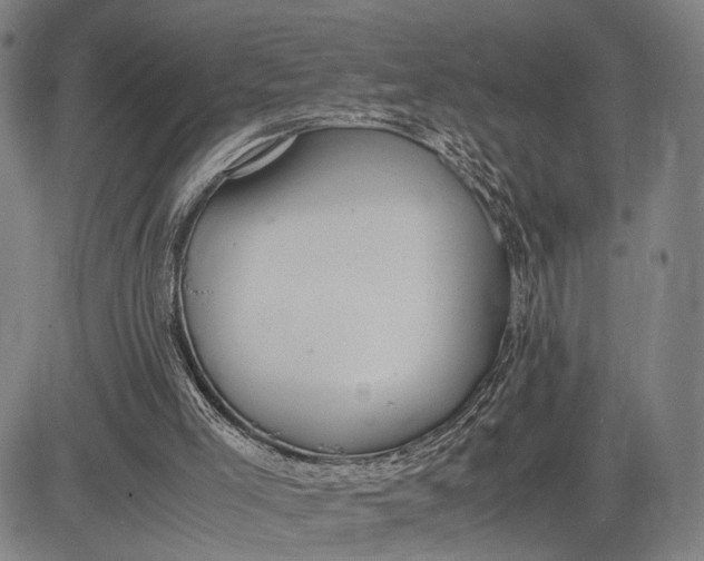 X0000083010005200702161603