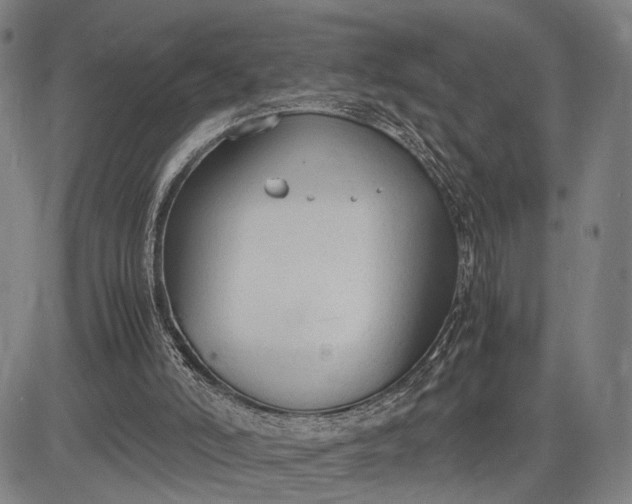 X0000083010006200702161603