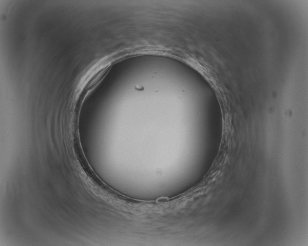 X0000083010007200702161603