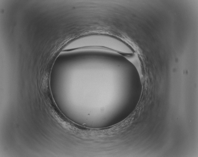 X0000083010009200702161603