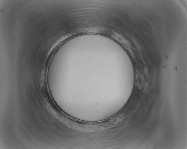 X0000083010012200702161603