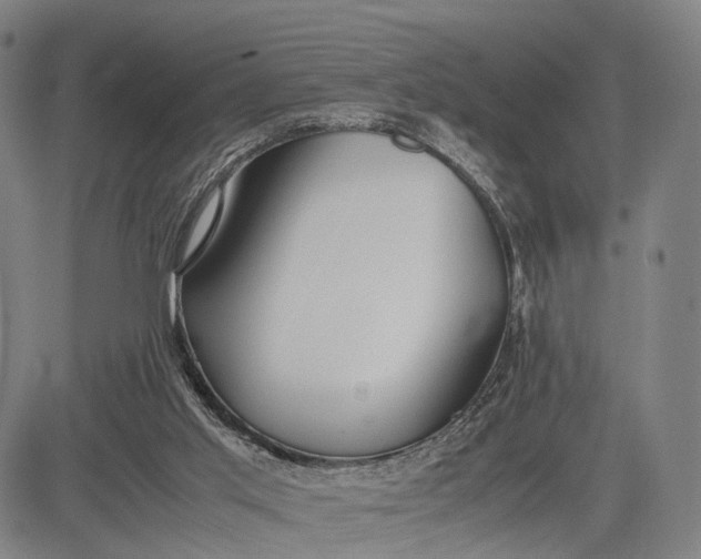 X0000083010013200702161603