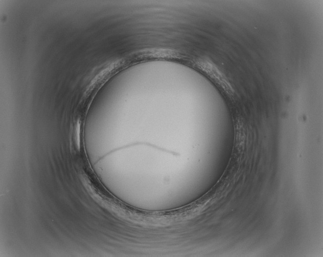 X0000083010014200702161603