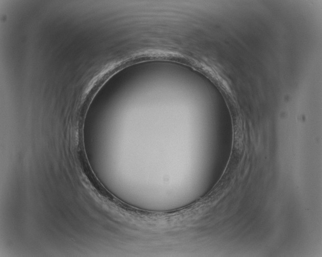 X0000083010015200702161603