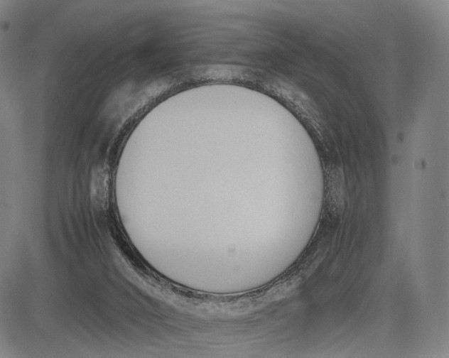 X0000083010016200702161603