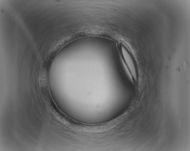 X0000083010017200702161603