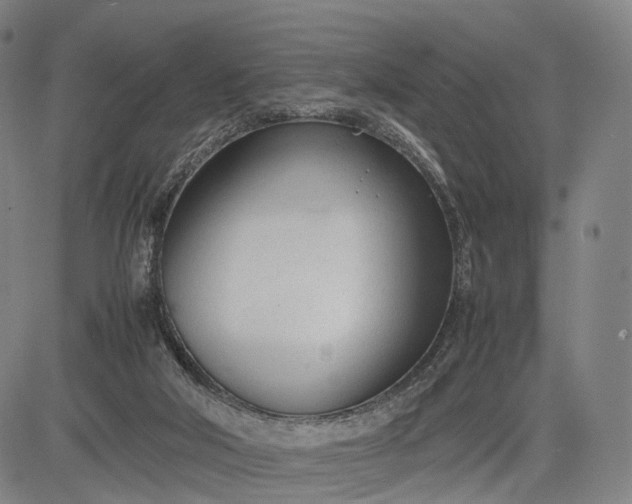 X0000083010018200702161603