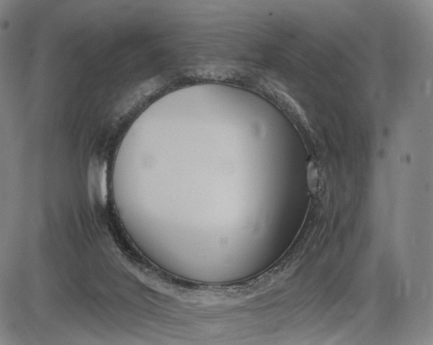 X0000083010020200702161602