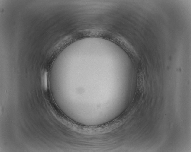 X0000083010022200702161602