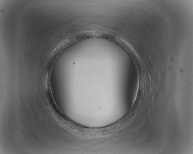 X0000083010023200702161602