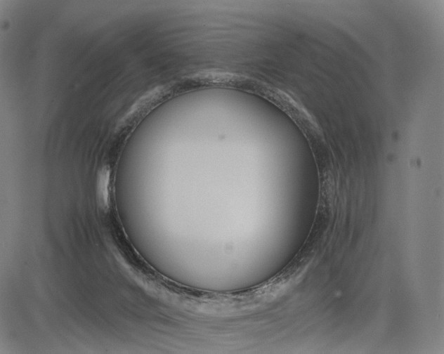 X0000083010024200702161602