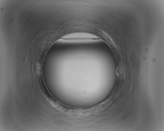 X0000083010025200702161602