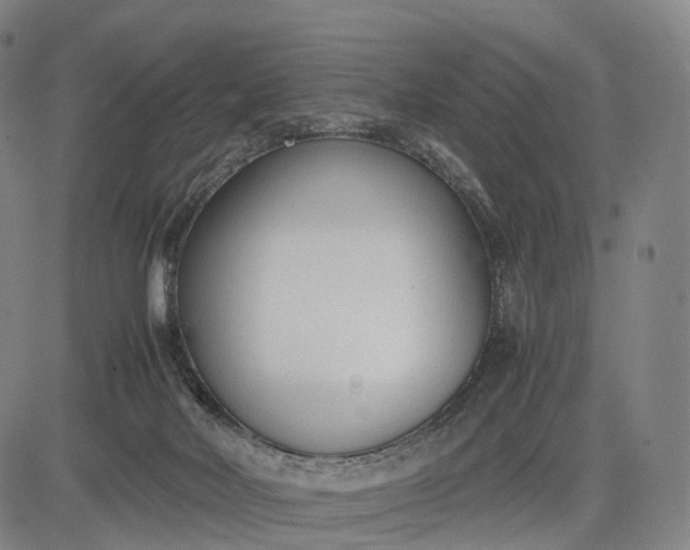 X0000083010026200702161602