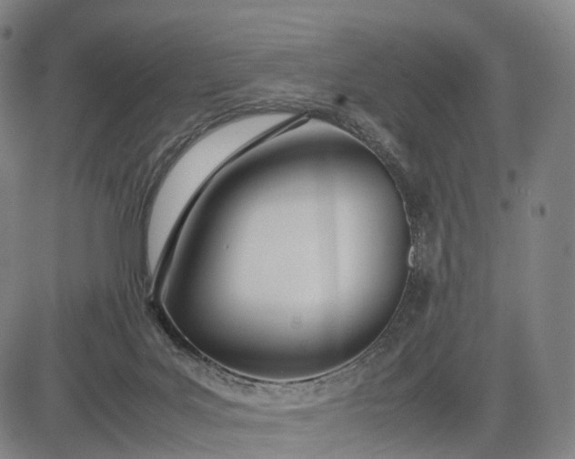 X0000083010027200702161602