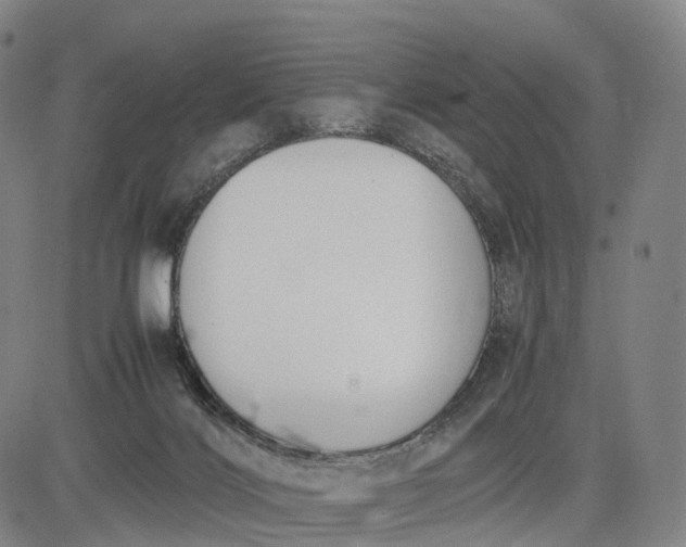 X0000083010028200702161602