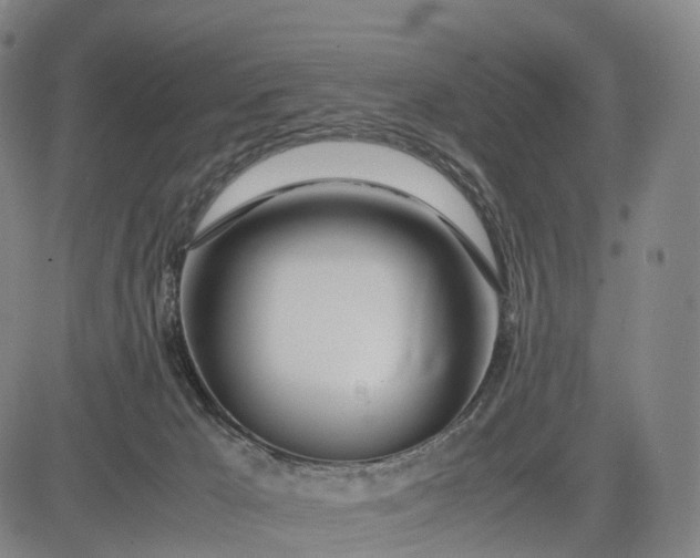 X0000083010029200702161602