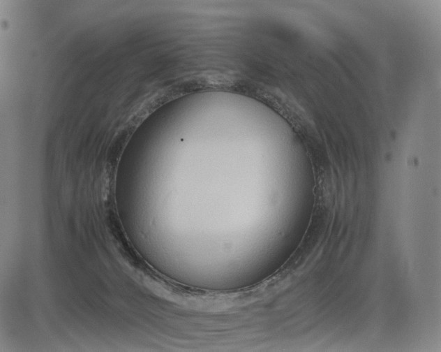 X0000083010032200702161602