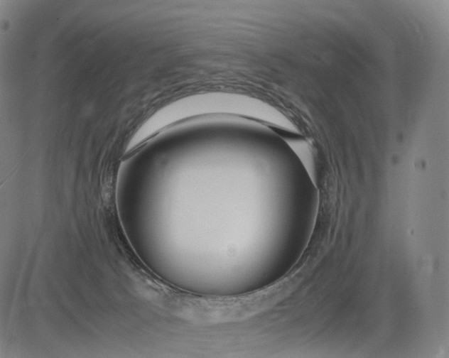 X0000083010033200702161602