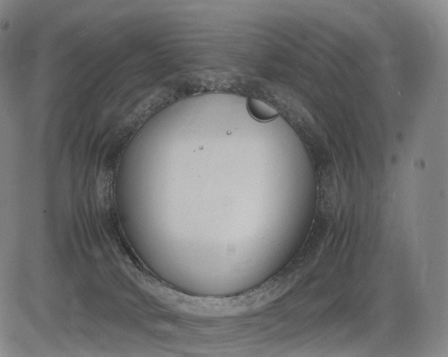 X0000083010034200702161602