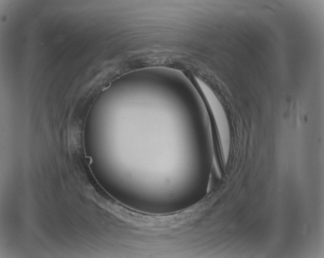 X0000083010035200702161602