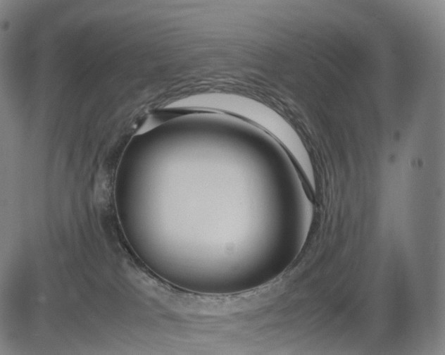 X0000083010037200702161602