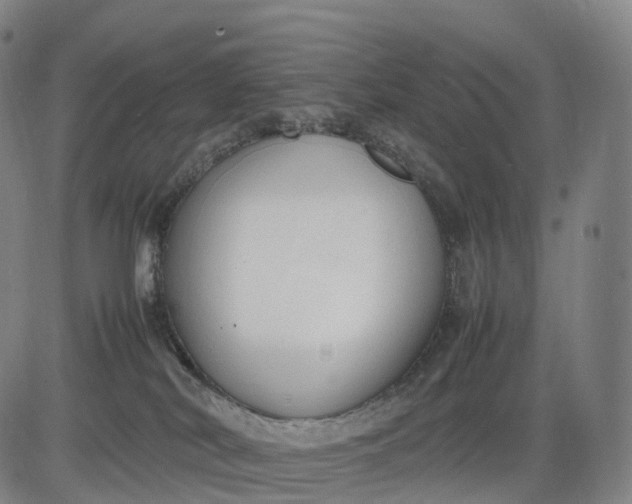 X0000083010038200702161602