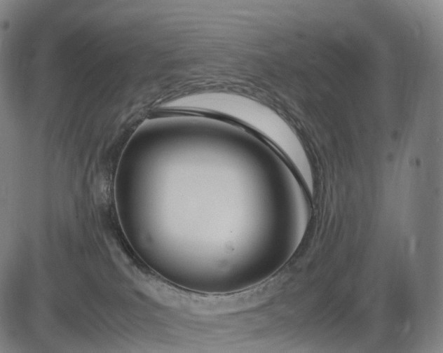 X0000083010039200702161602