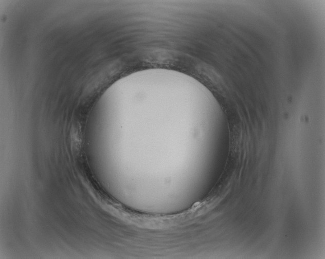 X0000083010040200702161602