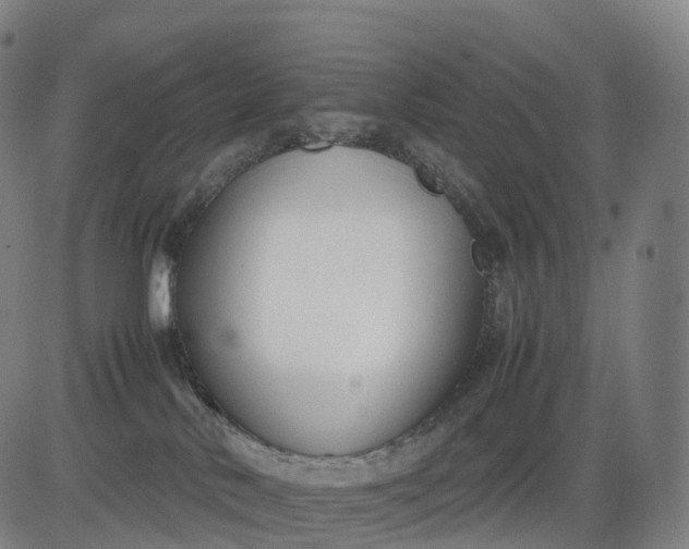 X0000083010042200702161602