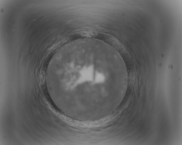 X0000083010043200702161602