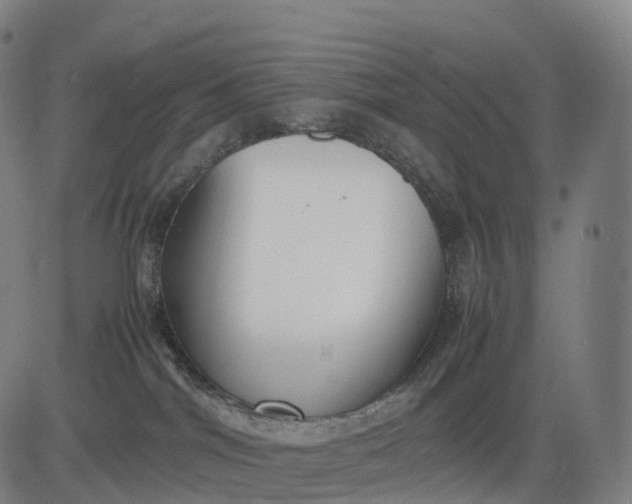 X0000083010044200702161602