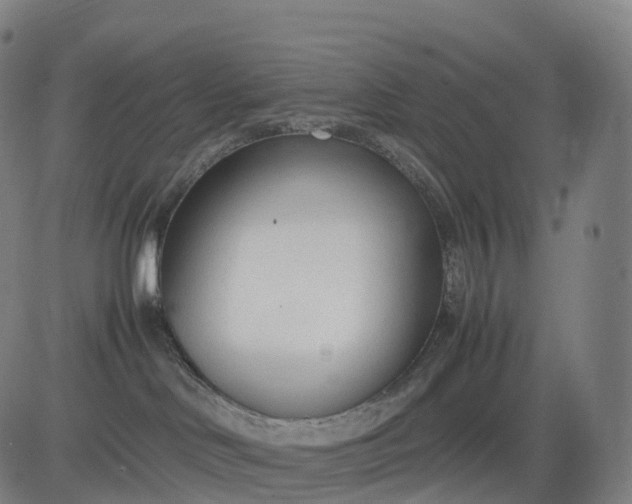 X0000083010046200702161602