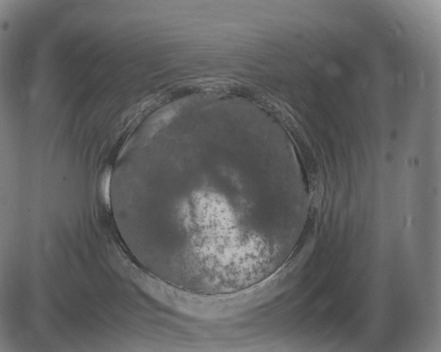 X0000083010047200702161602