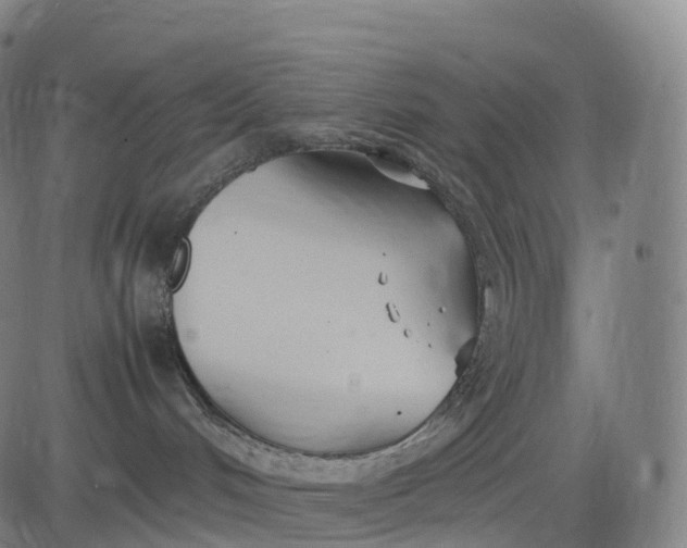 X0000083010048200702161602