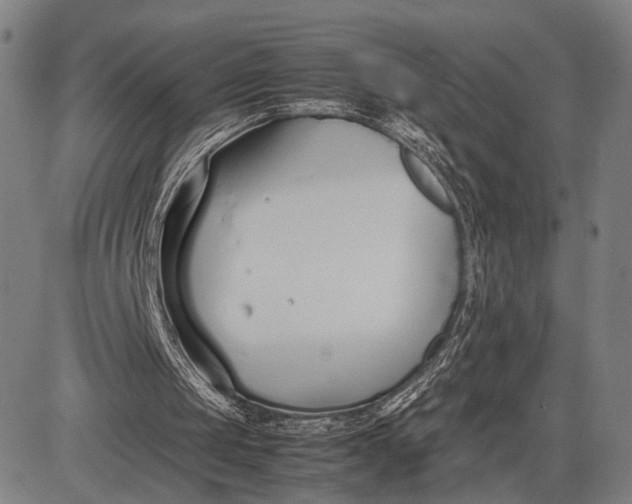 X0000083010049200702161601