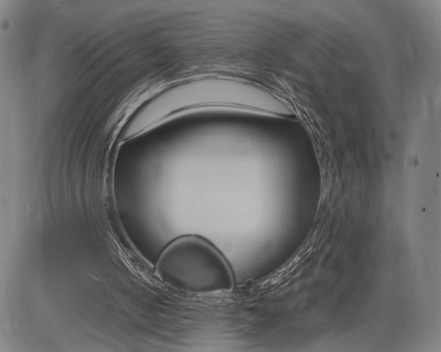 X0000083010050200702161601