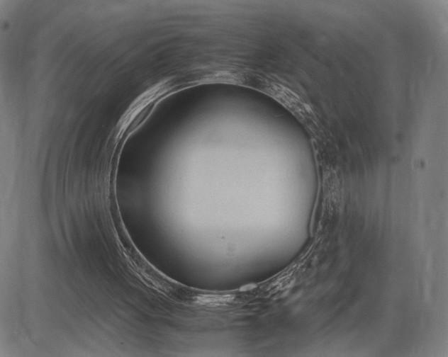 X0000083010051200702161601