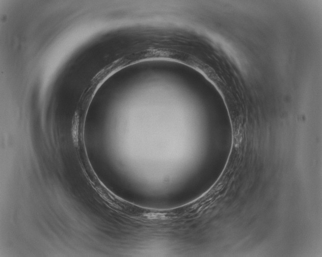 X0000083010052200702161601