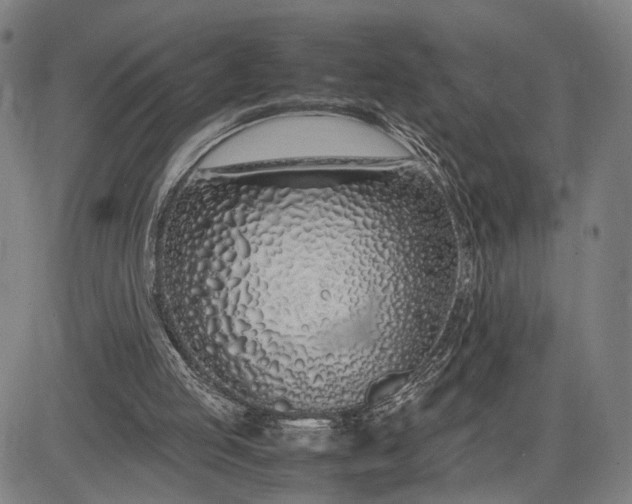 X0000083010053200702161601