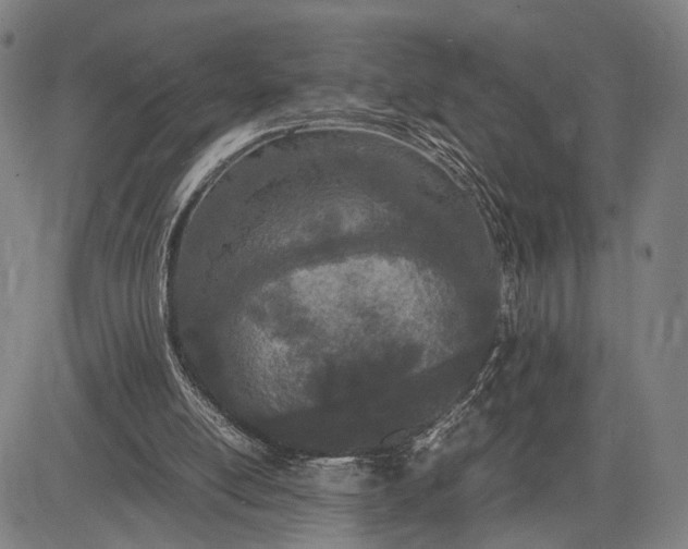 X0000083010054200702161601