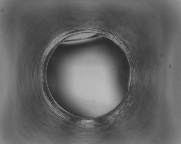 X0000083010055200702161601