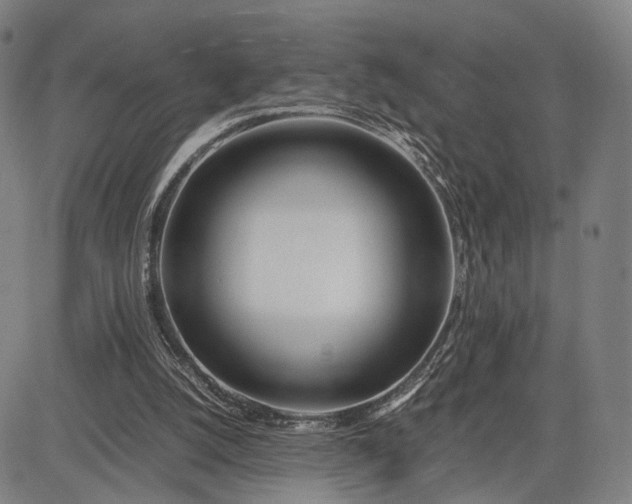 X0000083010056200702161601