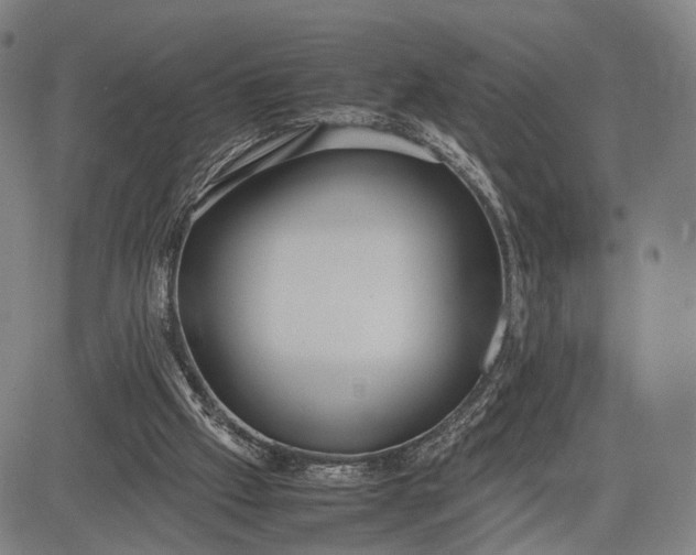 X0000083010057200702161601