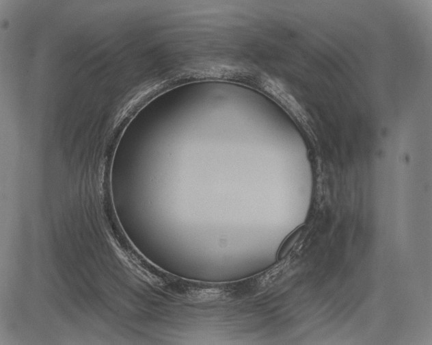 X0000083010058200702161601