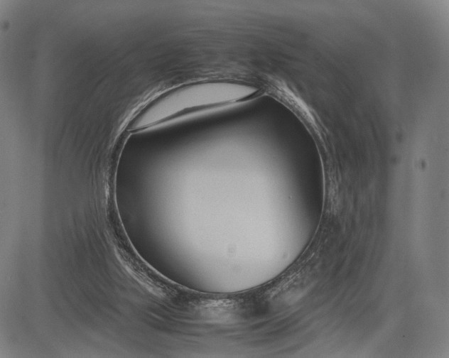 X0000083010059200702161601