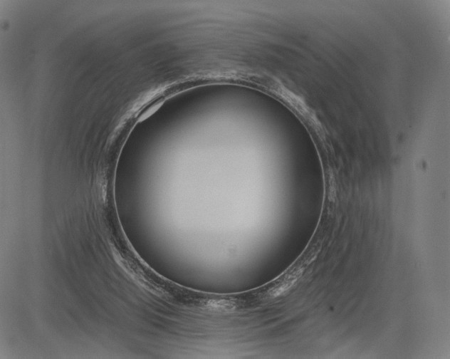 X0000083010060200702161601